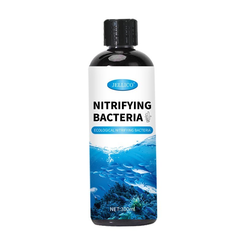 Water Bacteria Factory - Hot Selling Nitrifying Bacteria for Water Treatment Aquarium Pond Clean