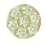 Pet Olfactory Pad Supplier - Eco-friendly Pet Silicone Olfactory Feeding Pad Enhances Pet Sense of Smell