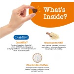 Chewable Tablets Supplier - Advanced Formula Glucosamine Chondroitin Chewable Tablets Hip Joint Care Mobility