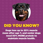 Weight Gain Supplement Manufacturer - Premium High Protein Dog Weight Gain Muscle Builder Powder Supplement