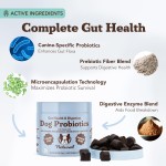 Pet Treats Factory - OEM Pet Food Supplement Dog Treats Snacks Suppliers 120 Soft Chews Probiotic Digestive