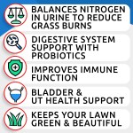 Urinary Support Factory - Private Label Natural Urinary Support Soft Chews Pet Care for Cats Liver Kidney