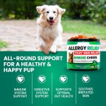 Omega Chews Supplier - Dog Allergy Relief Supplement Skin Immune Support with Omega-3 Fish Oil Probiotics