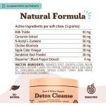 Liver Supplement Supplier - Natural Liver Supplement Dogs Liver Detox Hepatic Health Aid Vet Recommended