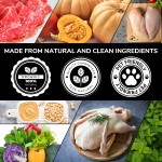 Skin Allergy Factory - Private Label Senior Dog Supplement for Skin Allergies Anti-Itch Pet Care ODM