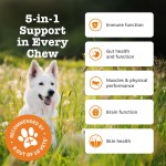 Pet Multivitamin Factory - Premium Pet Nutrition Soft Chews Complete Multivitamin Supplement Dogs Cats