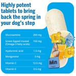 Canine Care Factory - Vet Recommended Dog Hip Joint Supplements Glucosamine Chondroitin MSM Formula