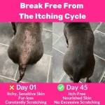 Skin Support Treats Factory - Soothe Dog's Itch Support Skin Coat Immunity with Nutritious Treats Pet Care