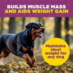 Weight Gain Supplement Manufacturer - Premium High Protein Dog Weight Gain Muscle Builder Powder Supplement
