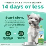 Dental Water Additive Factory - Natural VOHC Certified Probiotics Pet Tooth Water Supplements Dental Care