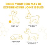 Dog Mobility Supplement Manufacturer - Premium Dog Hip Joint Supplements with Glucosamine Chondroitin MSM