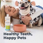 Pet Dental Solution Manufacturer - Professional Grade Pet Tooth Water Supplements Advanced Dental Care