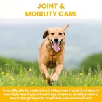 Dog Joint Supplement Supplier - Vet-Recommended Dog Hip Joint Supplements Glucosamine Chondroitin MSM