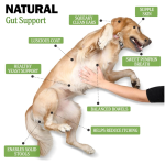 Allergy Chews Supplier - High Quality Organic Allergy Soft Chews Pets Chewable Tablets Dogs Supplements