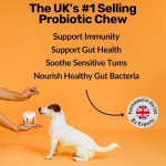 Probiotic Chews Supplier - OEM ODM Natural Probiotic Soft Chews Pet Food Supplement Dog Treats Gut Health