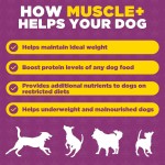 Weight Gain Supplement Manufacturer - Premium High Protein Dog Weight Gain Muscle Builder Powder Supplement