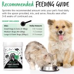 Tartar Control Manufacturer - All-Natural Tartar Control Dental Powder for Dogs Antibacterial Pet Food Additive