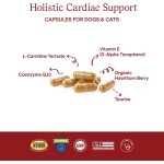 Cardio Supplement Factory - Best Quality Natural Pet Health Care Supplement Cardio Tensive Capsule Dogs Cats