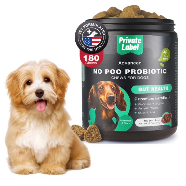 Probiotic Health Manufacturer - Premium Probiotic for Dogs Digestive Health Immune Support Pet Health Supplement