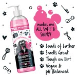 Dog Shampoo Factory - Professional Organic Hypoallergenic Dog Shampoo Veterinary Formula Bath Solutions