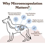 Pet Treats Factory - OEM Pet Food Supplement Dog Treats Snacks Suppliers 120 Soft Chews Probiotic Digestive