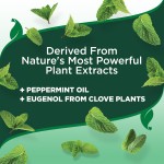 Flea Spray Manufacturer - Natural Organic Flea Tick Spray Safe Effective Pest Control for Dogs Cats