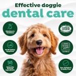Dental Water Additive Factory - Natural VOHC Certified Probiotics Pet Tooth Water Supplements Dental Care