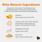 Pet Multivitamin Factory - Premium Pet Nutrition Soft Chews Complete Multivitamin Supplement Dogs Cats