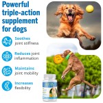 Canine Care Factory - Vet Recommended Dog Hip Joint Supplements Glucosamine Chondroitin MSM Formula