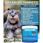 Multi-Strain Factory - High-Potency Pet Probiotics Supplement Digestive Health Support Multi-Strain Prebiotic