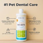 Pet Dental Solution Manufacturer - Professional Grade Pet Tooth Water Supplements Advanced Dental Care