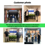 Probiotic Chews Supplier - OEM ODM Natural Probiotic Soft Chews Pet Food Supplement Dog Treats Gut Health