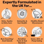 Probiotic Chews Supplier - OEM ODM Natural Probiotic Soft Chews Pet Food Supplement Dog Treats Gut Health