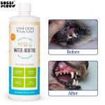 Pet Dental Solution Manufacturer - Professional Grade Pet Tooth Water Supplements Advanced Dental Care