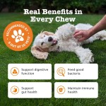 Probiotic Chews Manufacturer - Pet Health Care Supplements Chews Private Label Dog Treat Natural Prebiotics