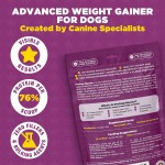 Weight Gain Supplement Manufacturer - Premium High Protein Dog Weight Gain Muscle Builder Powder Supplement