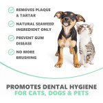 Teeth Cleaning Supplier - Veterinary-Approved Natural Teeth Cleaning Care Dental Hygiene Powder for Dogs