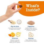 Soft Chews Manufacturer - Dog Multivitamins Soft Chews Bites USA Complete Pet Health Care Supplement Bulk