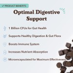 Pet Treats Factory - OEM Pet Food Supplement Dog Treats Snacks Suppliers 120 Soft Chews Probiotic Digestive