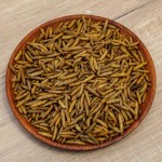 BSF Larvae Manufacturer - Wholesale Black Soldier Fly Larvae per kg for Pet Animal Aquatic High Protein
