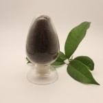 Protein Additive Factory - High Protein Defatted Black Soldier Fly Powder New Feed Additives for Horse Pig Fish