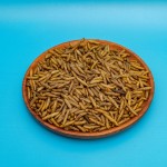 Pet Snack Factory - China Popular Good Palatability Mealworm Farm Cat Treats Black Soldier Fly Pet Snack