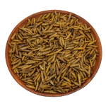 Insect Meal Manufacturer - Microwave Tenebrio Mealworm Superworm Cricket Black Soldier Fly Larvae BSF