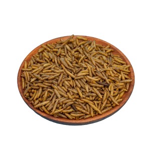 Dry Food Manufacturer - Wholesale Factory Offered Black Soldier Fly Dry Food for Pet Chicken and Poultry Hot
