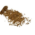 Dry Food Manufacturer - Wholesale Factory Offered Black Soldier Fly Dry Food for Pet Chicken and Poultry Hot