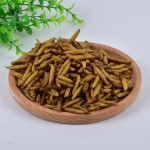 BSF Larvae Manufacturer - Wholesale Black Soldier Fly Larvae per kg for Pet Animal Aquatic High Protein