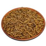 Pet Food Factory - Factory Supply Black Soldier Fly Larvae Dried for Fish Meal Hamster Food Bird Seed