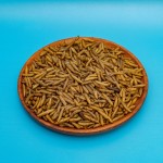 Pet Snack Factory - China Popular Good Palatability Mealworm Farm Cat Treats Black Soldier Fly Pet Snack