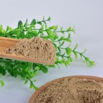 Feed Additive Supplier - Defatted Mealworm Protein Powder for Fish and Dog Feed Insect Flour Additives