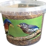 Reptile Food Supplier - Tortoise Pet Food Dried Fish Tiny Shrimp Dried Grasshopper Dried Mealworm